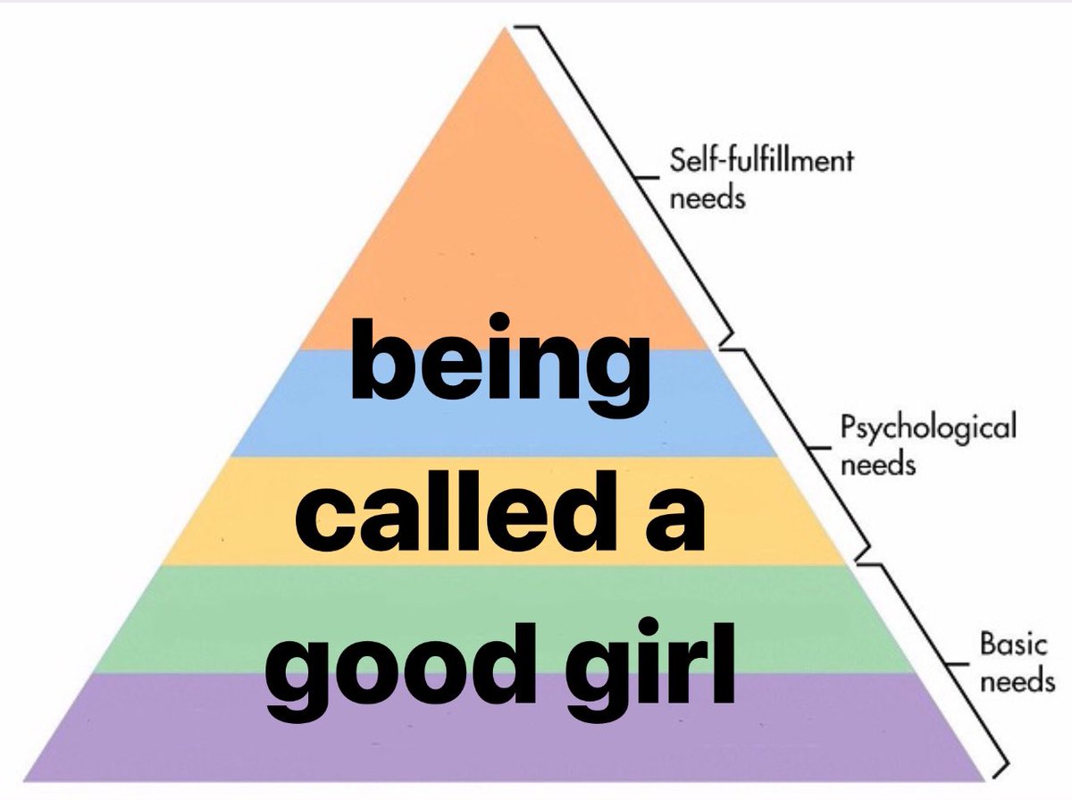 HIBlSCUS's tweet image. i will not be taking questions at this time