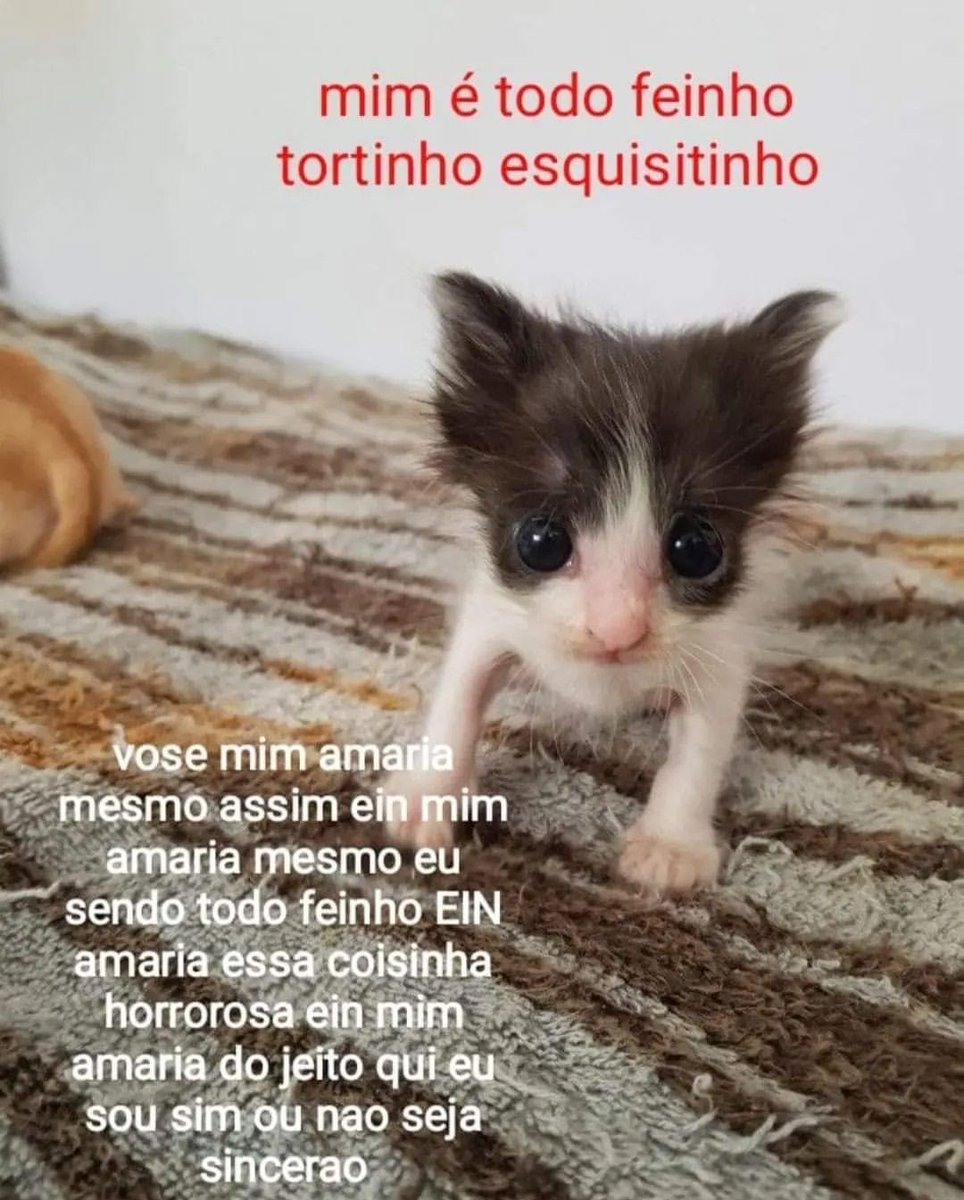 ؘ (@guisemteto) on Twitter photo 