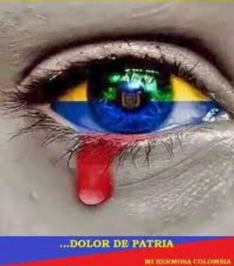 MAPU789's tweet image. #RodolfoPresidente2022