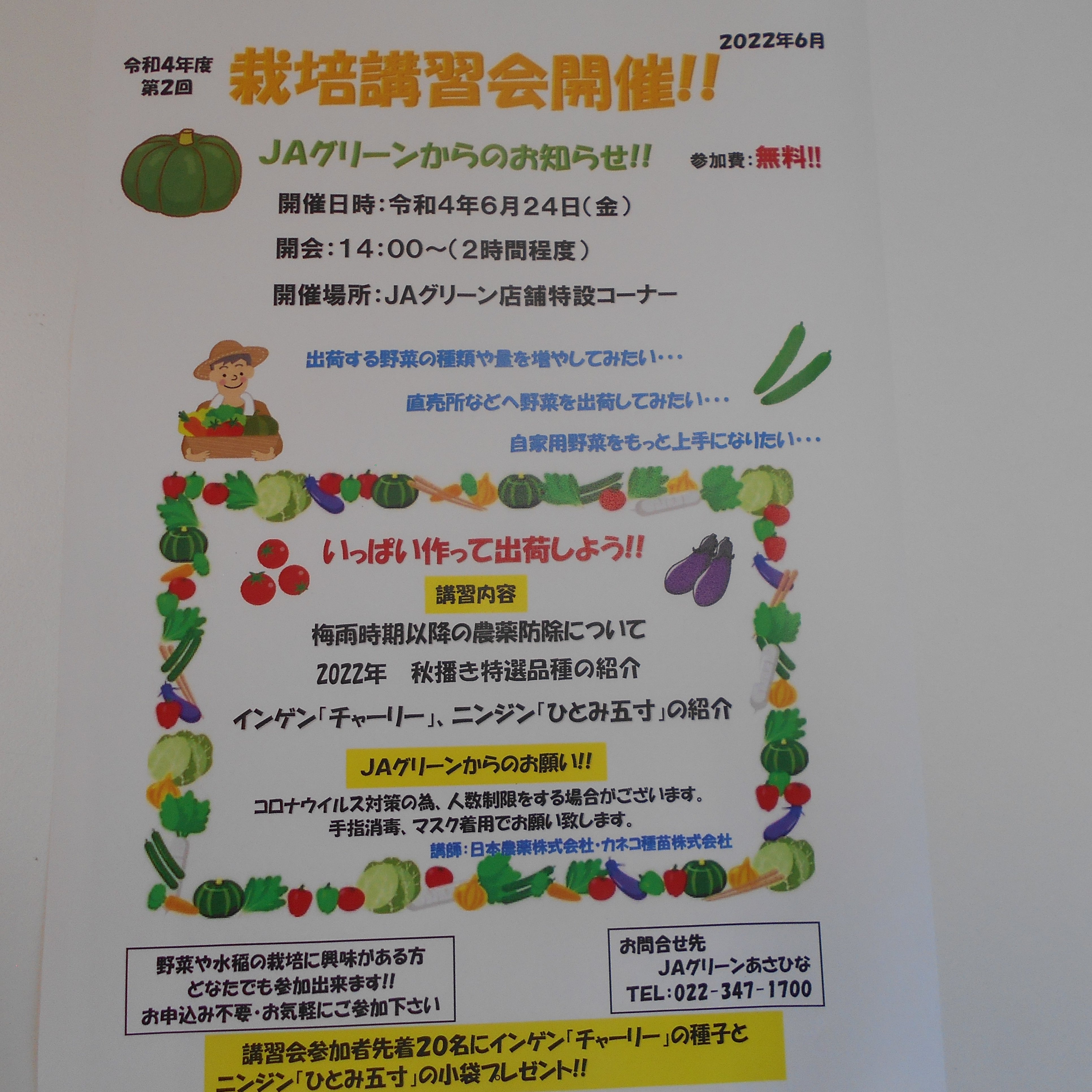 秋まき Twitter Search Twitter