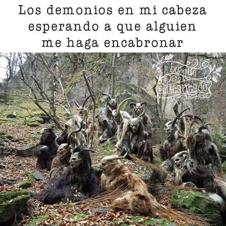 Nancy SD tweet media