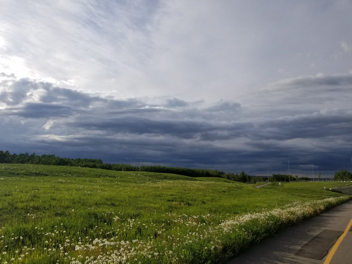 CarolinJ80's tweet photo. Beauty night for a run #yyc #lovethiscity #yycrunning https://t.co/MRf9Wb8ZiR