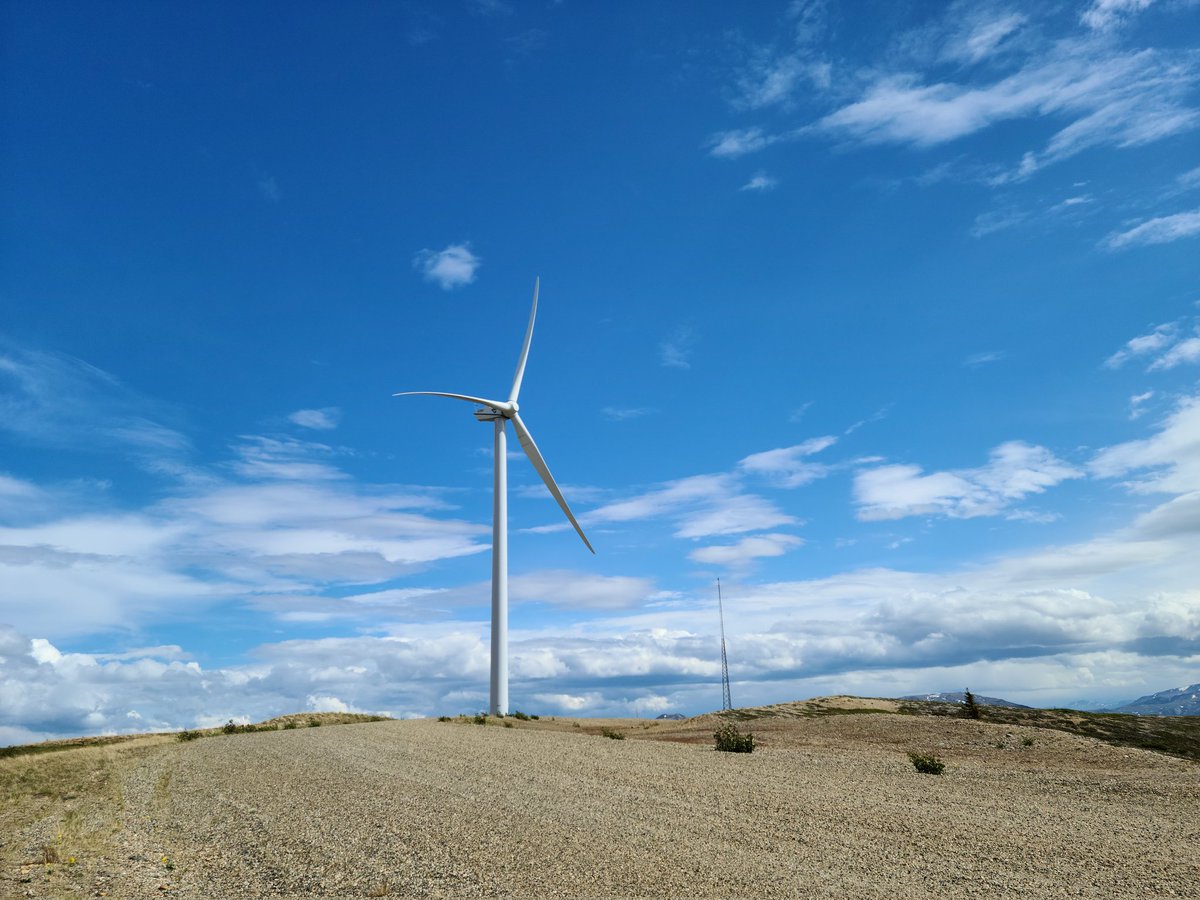 sonyall17's tweet photo. #WindmillFarm https://t.co/gva3qV4eBs