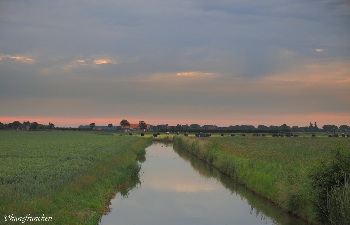 HFrancken's tweet photo. Hoeiemorruhhuh allemaal, een mooie maandag gewenst!(bij #Gapinge , @Gemeente_Veere , #MooiZeeland ) van vrijdag jl https://t.co/UsTzGguhtX