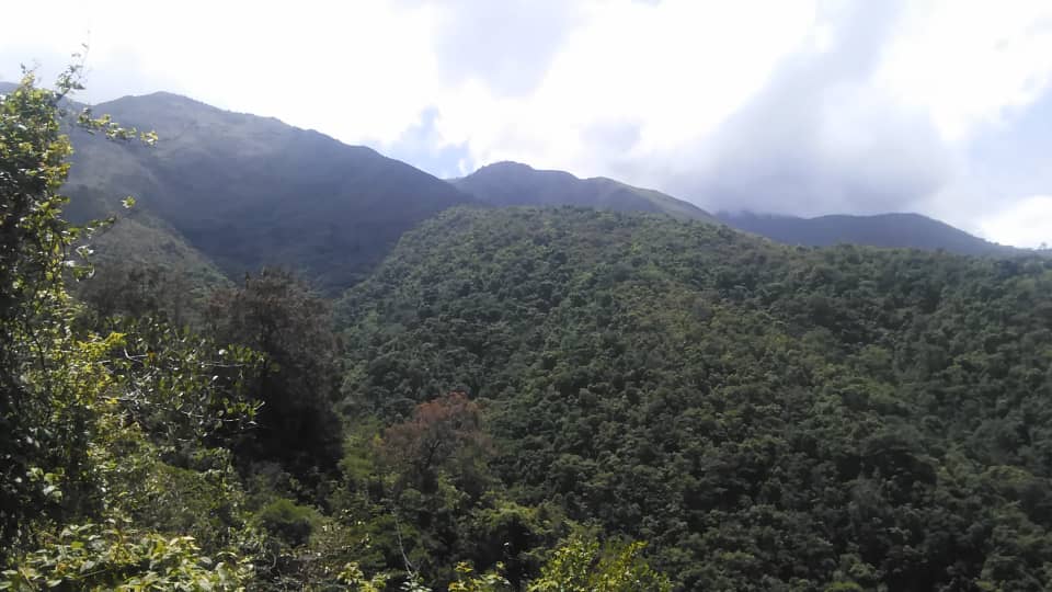 ivannaveda's tweet photo. @ValeVillegas_ok nuestra naturaleza! https://t.co/cJVliY7UxU