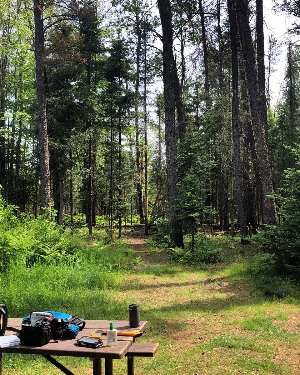 camperdave_'s tweet photo. Had a banger of a time even with all the ticks. https://t.co/RFlVUEgowk