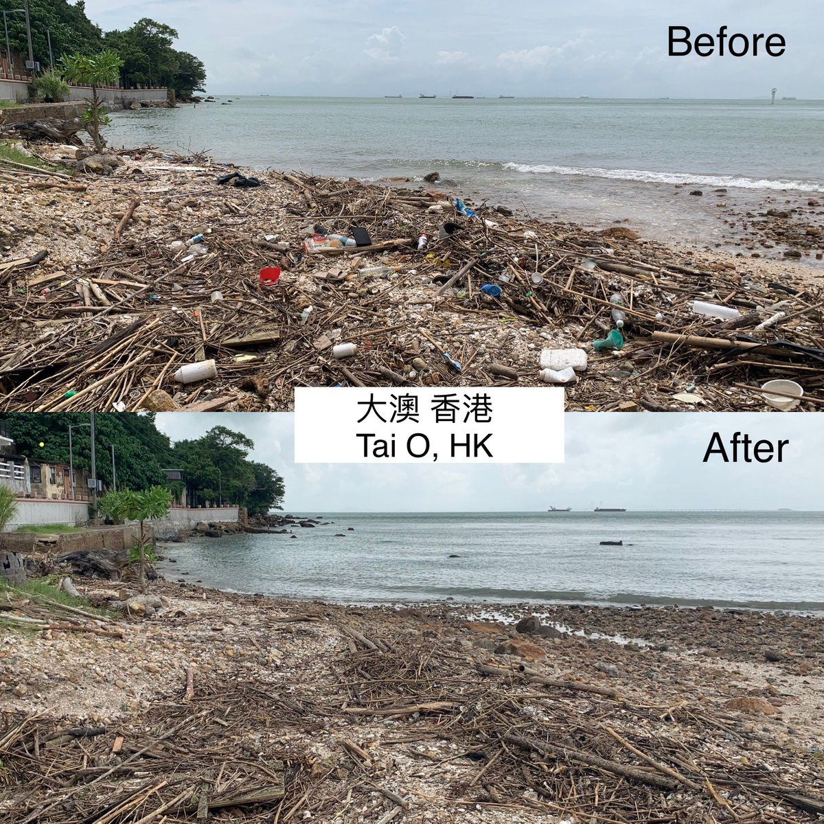 HKDCSorg's tweet photo. We went #BeachCleaning in Tai O at weekend. It is a village in #Lantau Island of #HongKong🇭🇰, which nearby waters is the main habitat of local dolphins🐬 

Most plastic trash found here were written in simplified Chinese, from mainland China🇨🇳 

#SaveDolphin #ActNow #大嶼海洋學堂 https://t.co/Gil2ZcDwRC