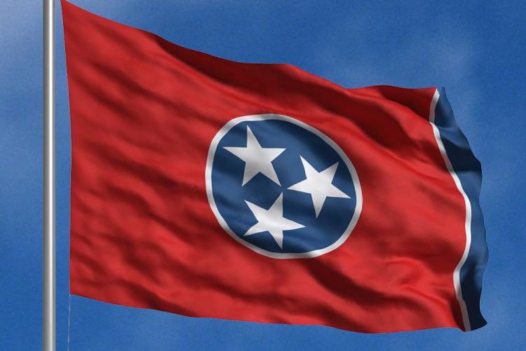 FilmmakerDino's tweet photo. @dreadreddd @I_Shoot_R0pez @Rabble29 @bradypoems @DannyDeraney Can we appreciate how beautiful the Tennessee flag is with the gold string on the edges for the indoor ones take my breath away and it’s a southern state flag not inspired by the confederacy https://t.co/n1dRP9wKK2