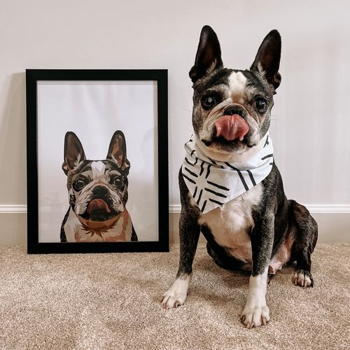donutail's tweet photo. Say hi to everyone. 

#donutailwithpet #petportrait #petphotography #frenchbulldog #frenchie #frenchiesofinstagram #bulldog #frenchielove #bulldogsofinstagram #frenchiepuppy #frenchbulldogsofinstagram #englishbulldog #frenchielife #bulldogfrances #frenchiegram https://t.co/ONR9GYywg7