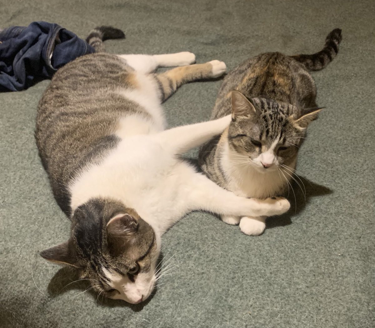 Squeaky &amp; his little shadow