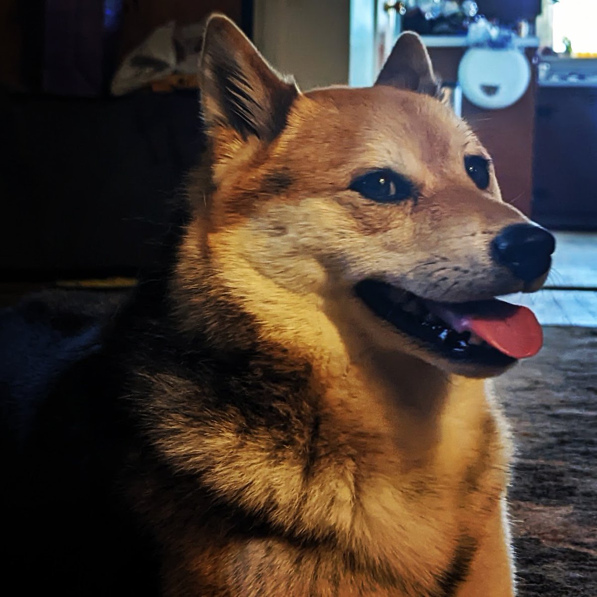 Summer is hot, but we have AC and thats makes everything all better....until I'm threatened with a bath cause I'm "stinky"