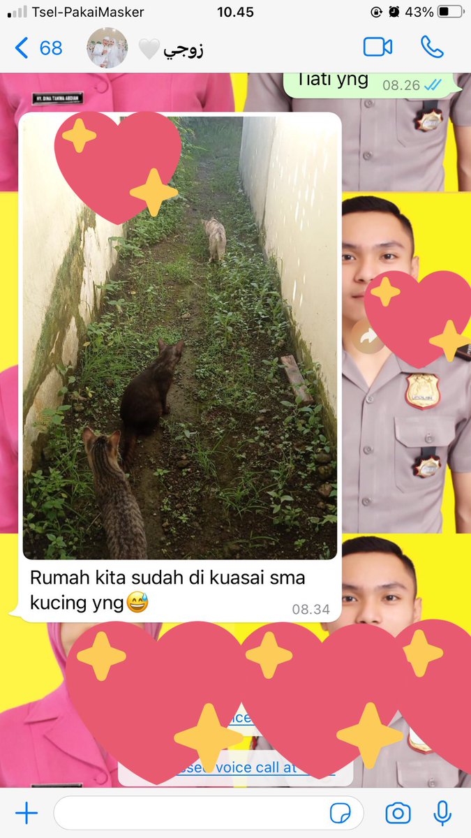 3 minggu ga plg sdh ditempati 3 kucing, bentar lg rmh jd tmpt perkumpulan para kucing komplek