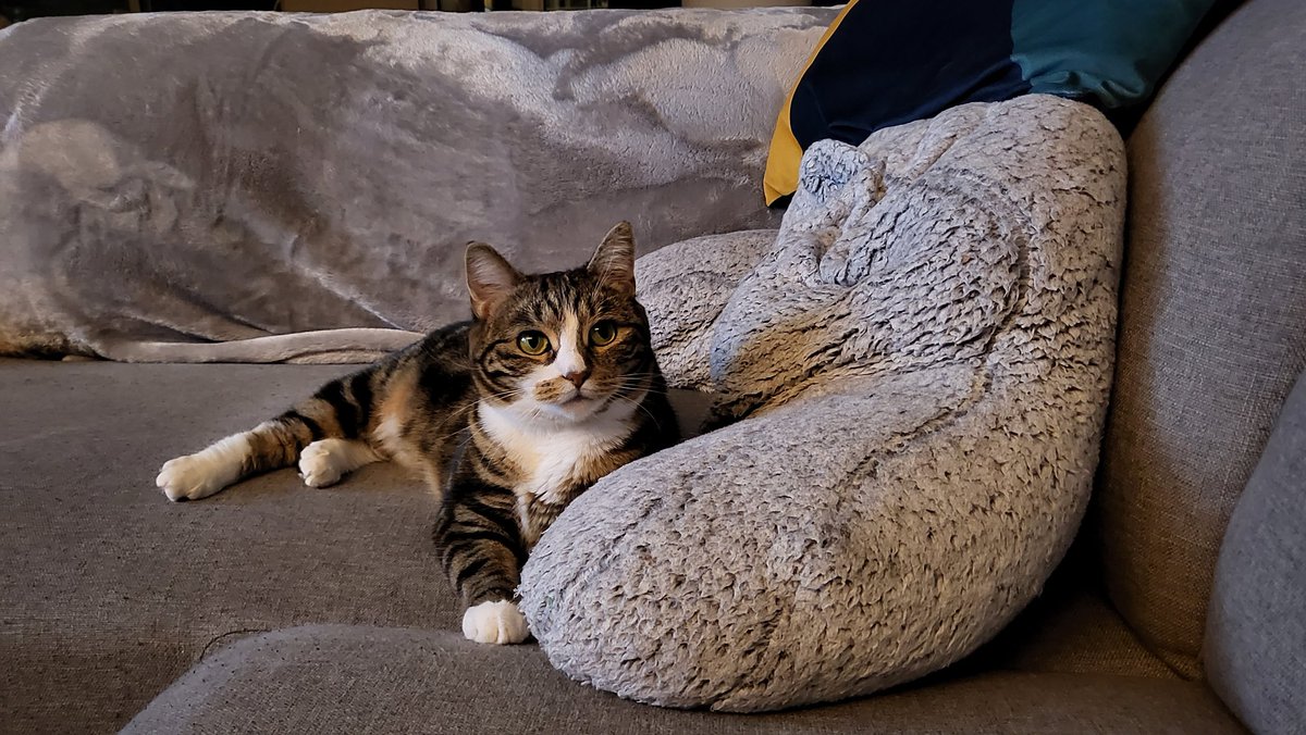 Is that cheese for me?