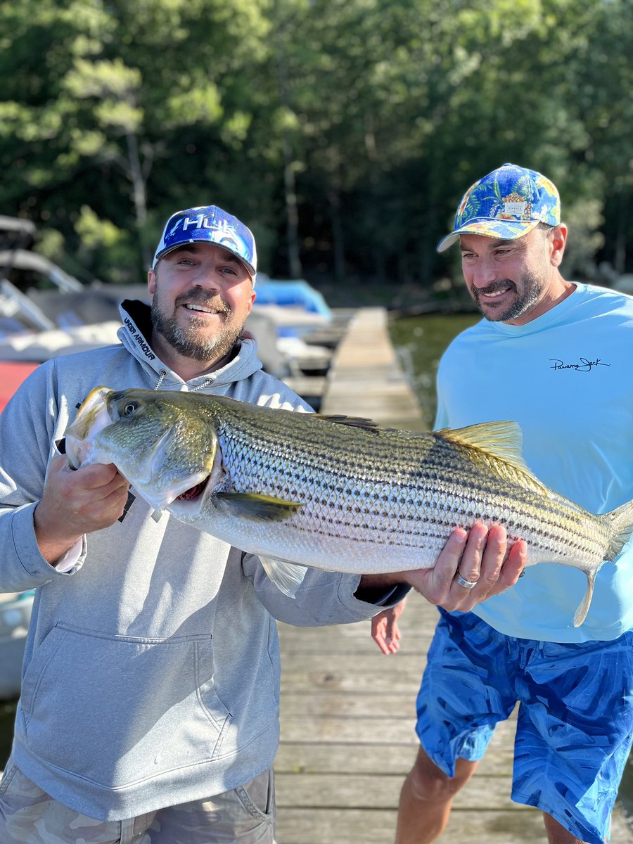 WallyBites's tweet image. In no man’s land off a dock - you just never know what’s lurking beneath the water.  #fishing #pafish #fishpa #cabelas #keitech #lakewallenpaupack