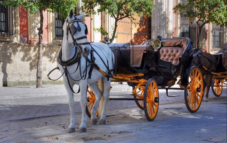 Your Prince Charming is here to pick you up @#$&amp;//How are your preparations? !😂