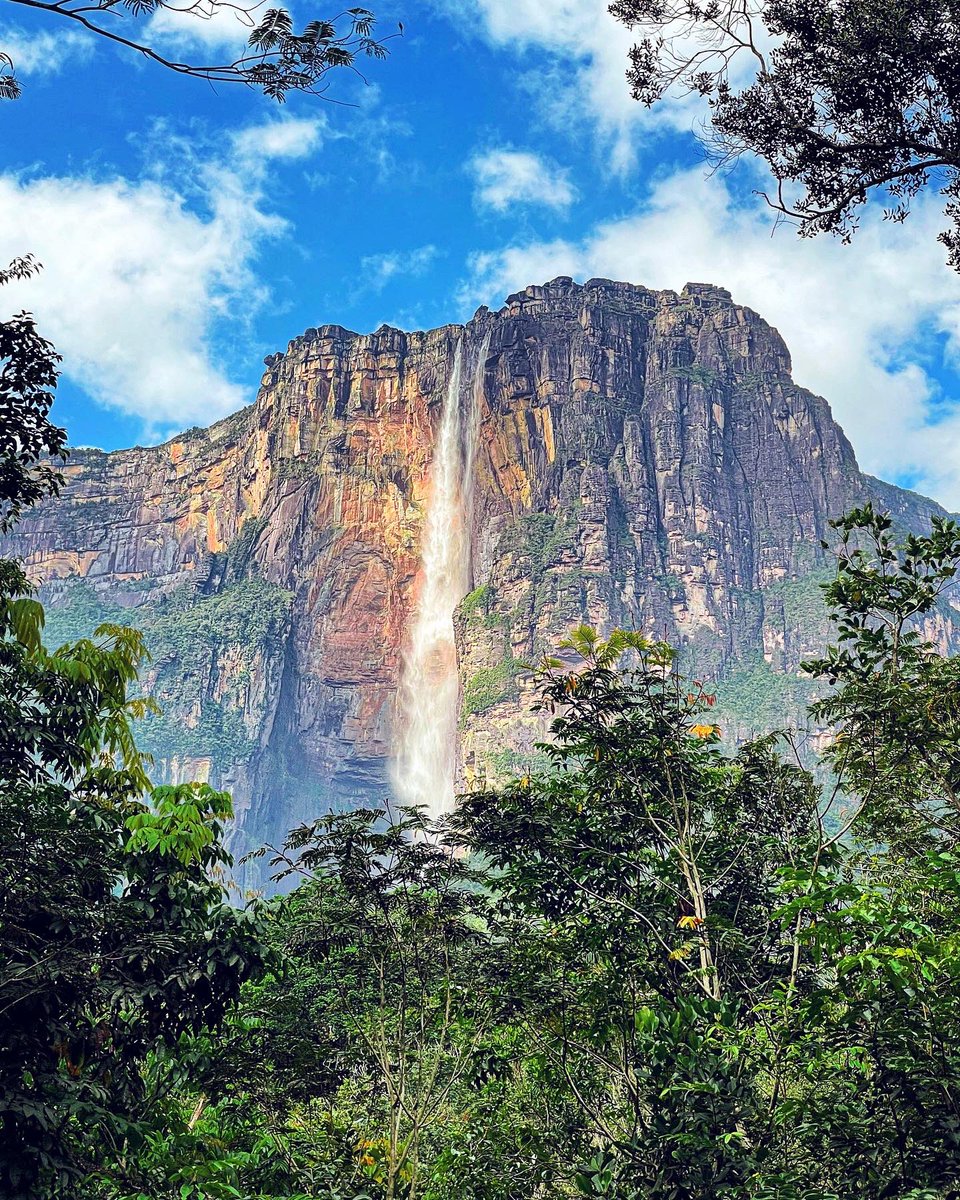 AlexTienda's tweet photo. Con casi 1 Km de altura (más del doble que las cataratas del Niágara), el Salto Ángel en Canaima, Venezuela 🇻🇪 es la cascada más alta del mundo! 🤯
⁠
Y como #DatoCurioso varias películas se han filmado o inspirado en ella! 

¿Conoces alguna? 😏 
COMENTA! 👇🏼🍿 https://t.co/4MDpdZhLxG