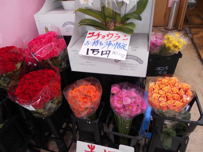 武蔵小杉 元住吉駅近くに移転 激安生花店フラワーマルシェのページ