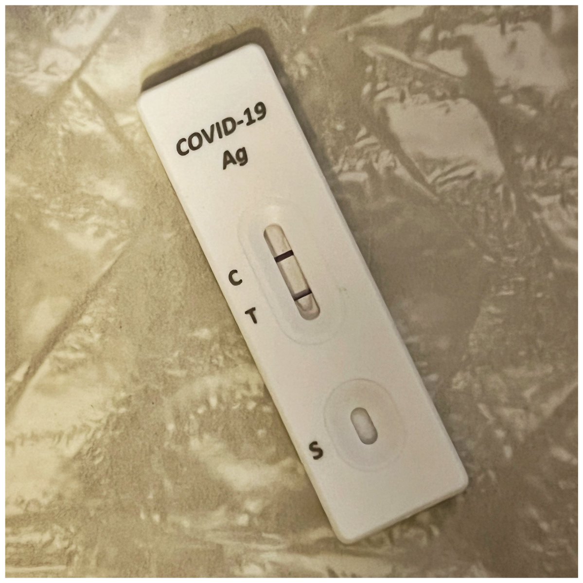 Shaun Amy tweet media