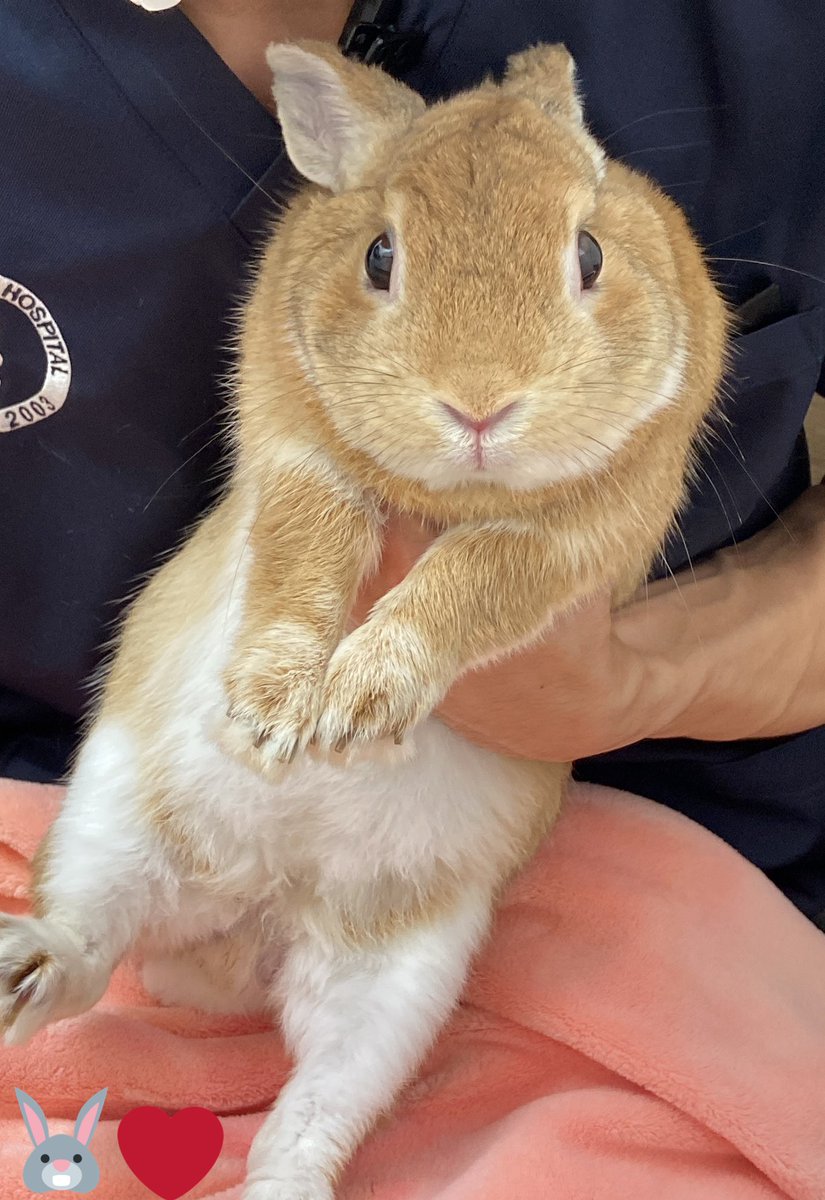 いつも見て頂いてた病院の先生が異動するそう…💦
質問すると丁寧に教えてくれる先生だから安心してたのに残念😖
新天地への応援とお世話になりましたの挨拶をしてお別れ🍀
別れあれば出逢いあり☀️
ありがとうございました✨