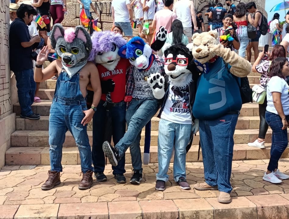 Furryous Fox tweet media