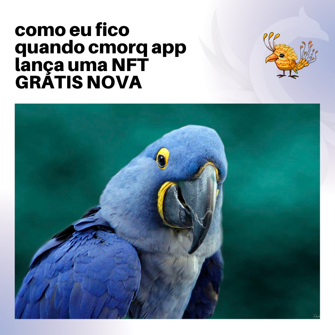 OpenFi_app's tweet photo. É muita felicidade não é? 😍

#economia #finanças #DeFi #nft #nftbrasil #nftgratis #indique #cmorqapp #cmorqbrasil #cmorqbr https://t.co/z7Z38O0x99
