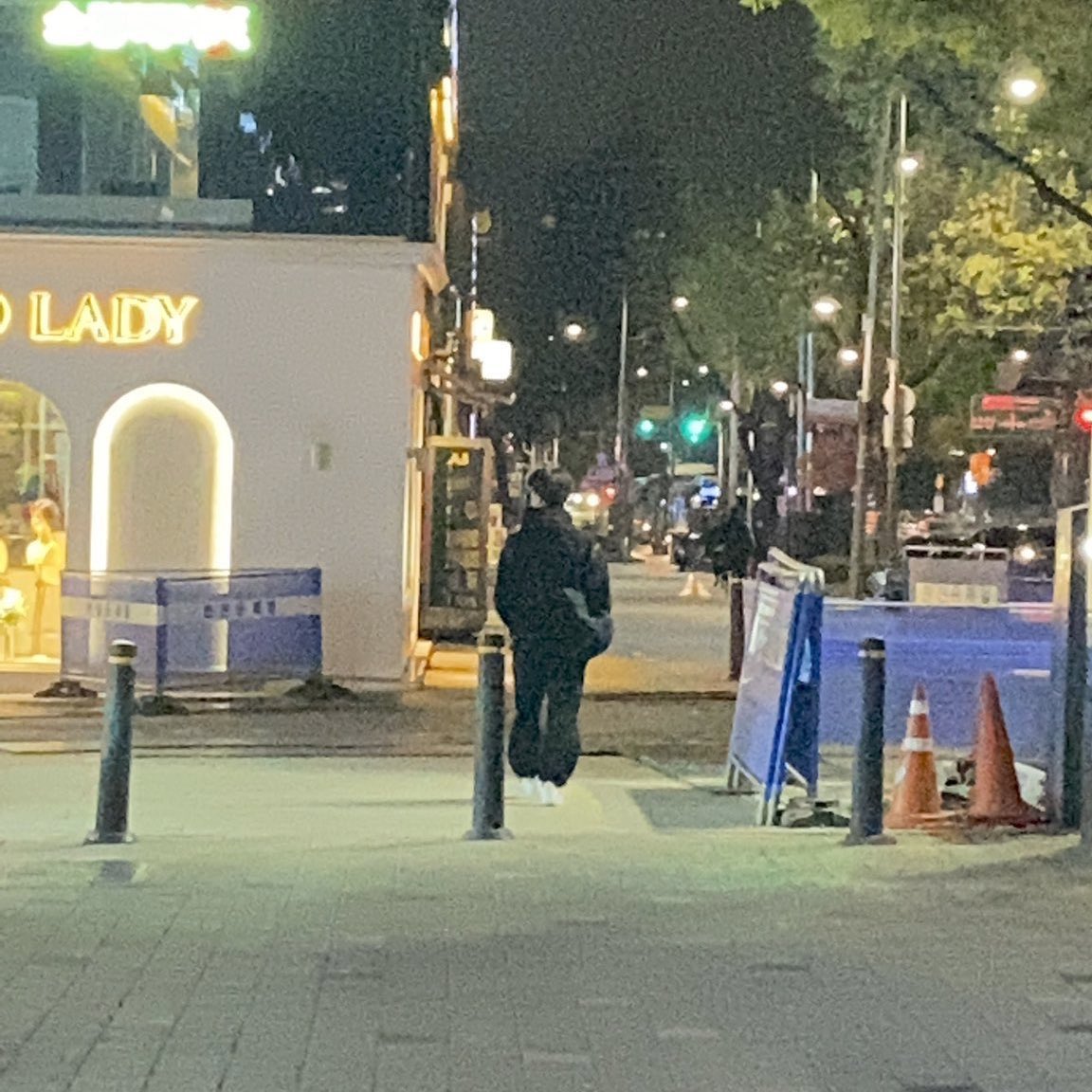 featdno's tweet photo. SOMEONE SAW DINO WALKING AROUND OH MY GAWD hope he had the best walk https://t.co/5HJLbUC2nv