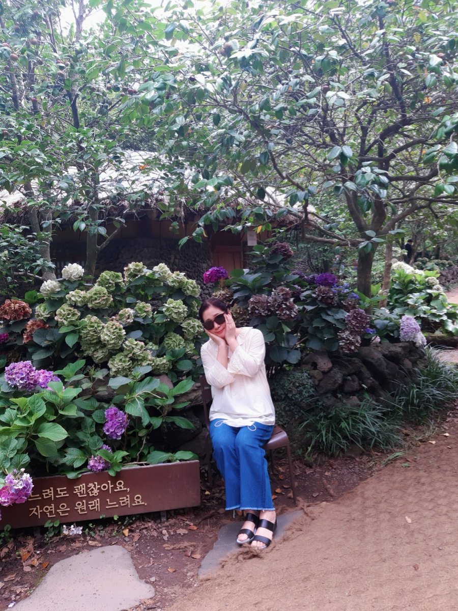 spica082's tweet photo. 카멜리아힐 https://t.co/VzJsgvT52x