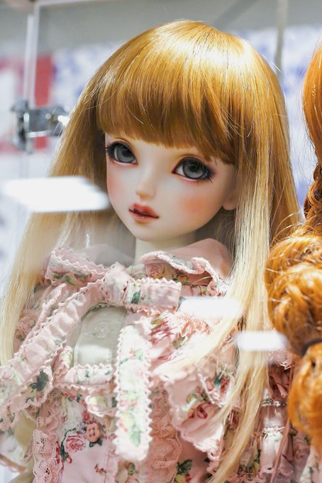 スーパードルフィーのtwitterイラスト検索結果