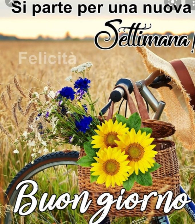 Stefania S. tweet media