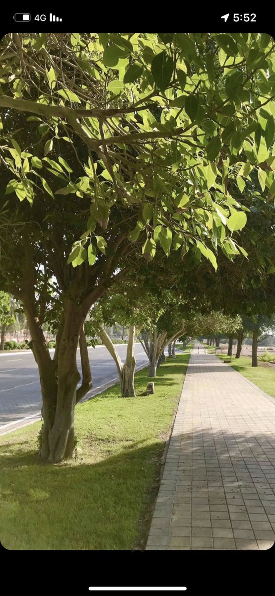 MMub33's tweet image. كررها دائماً :  

" اللهم اني استودعتك اموري ورزقي ومستقبلي وخاتمتي يسر لي ما استعسر يارب العالمين، يا مسخر الأقدار سخر لي من الأقدار ما تسرّ به نفسي إنك على كل شيء قدير."