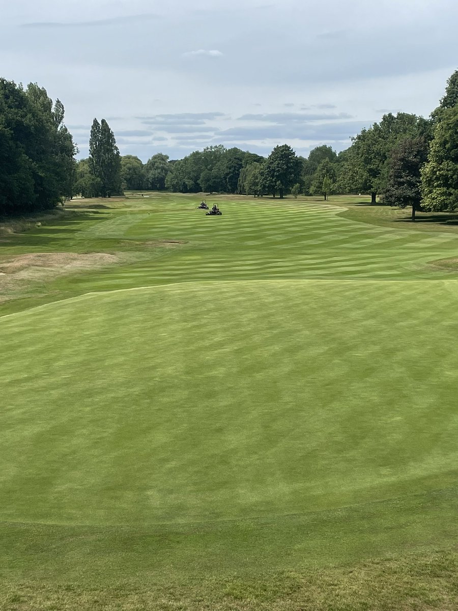 RMS-Greens tweet media