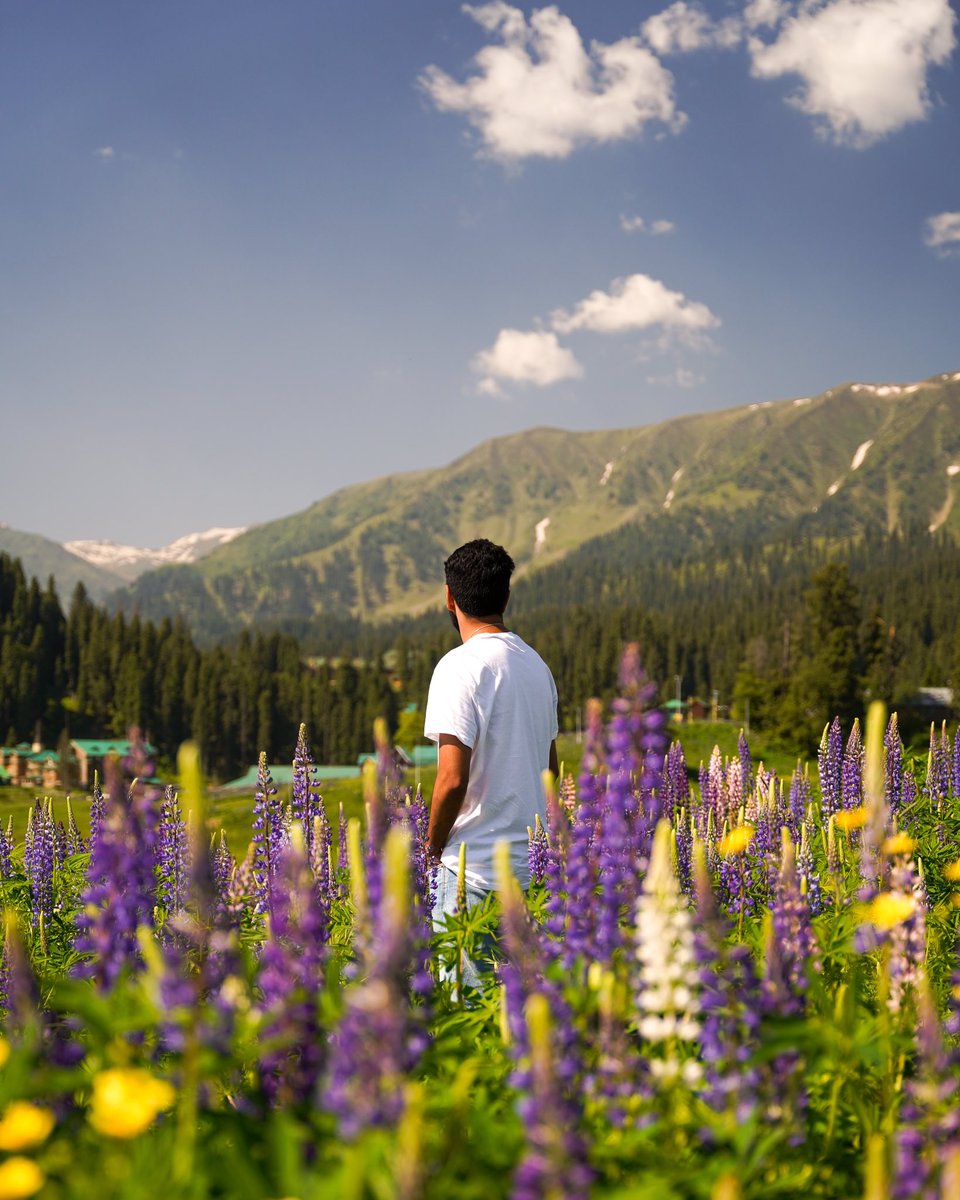 Theguyfromkashmir | SUHAIL tweet media
