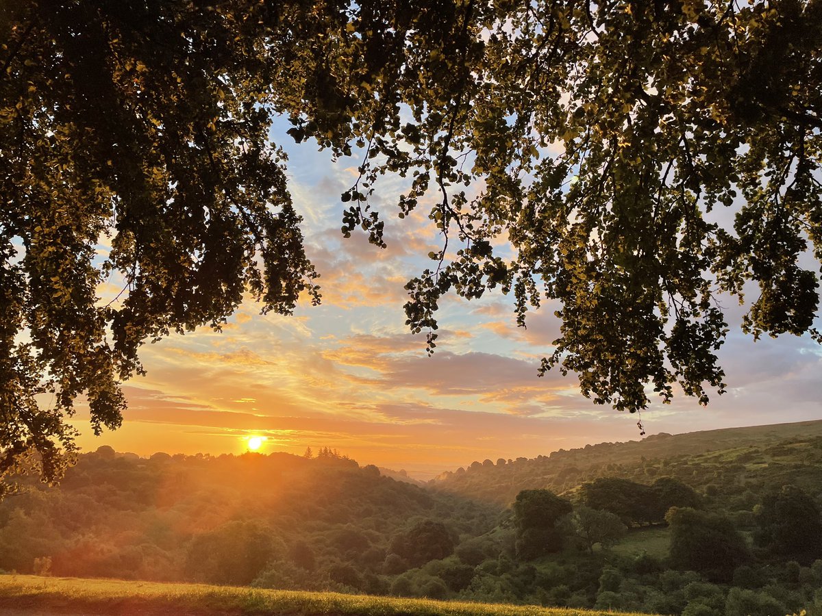 VisitDartmoor's tweet photo. Pretty spectacular sunrise on Dartmoor this morning, pics are untouched ๐งก๐
#dartmoor #HeartofDevon #visitdartmoor #devon #Mondayvibes https://t.co/hDqAMUNefH