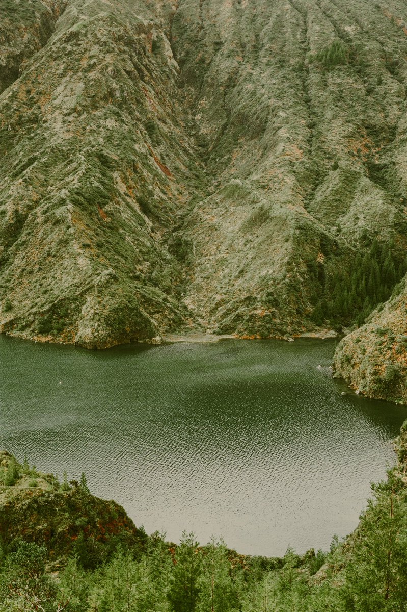 herrigerc's tweet image. Mighty greens 🌳 on #35mm 
I am getting closer to the colour grading outcomes, I’ve always envied other photographers for.