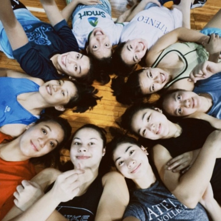 dailykatto's tweet photo. a blue eagle thing 🫶🏻 https://t.co/R11kNUmcuy