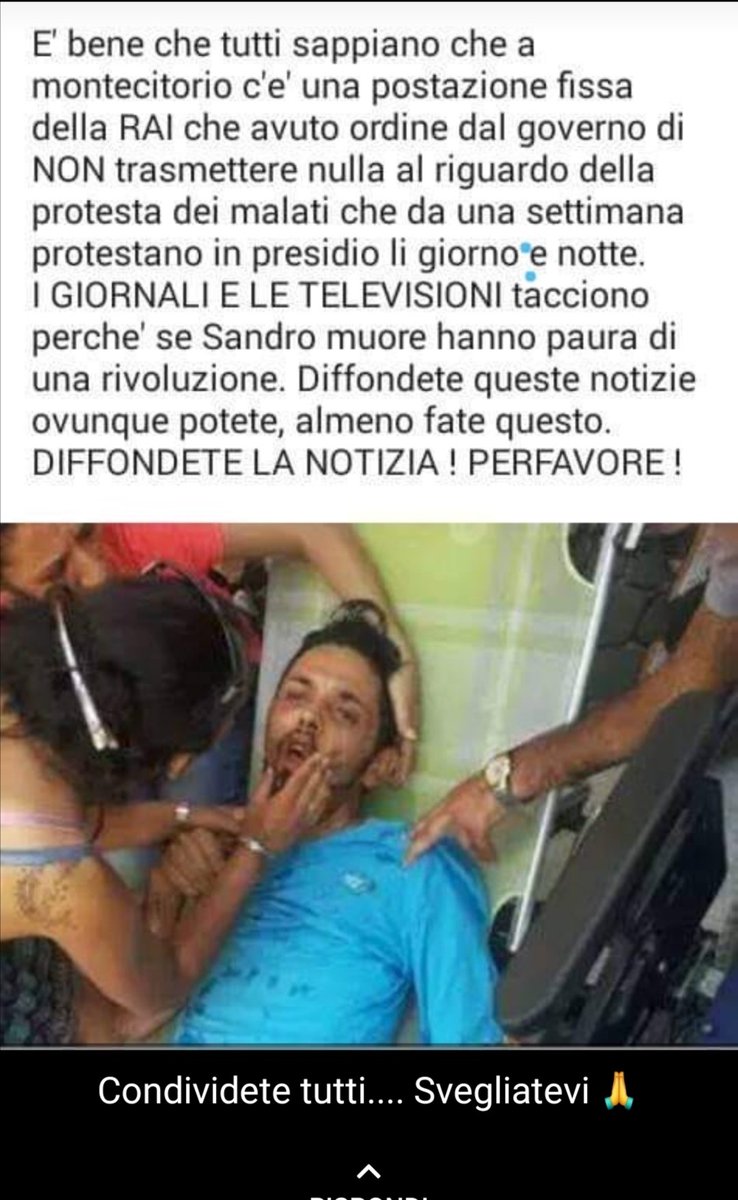 fanema64⭐⭐⭐ tweet media