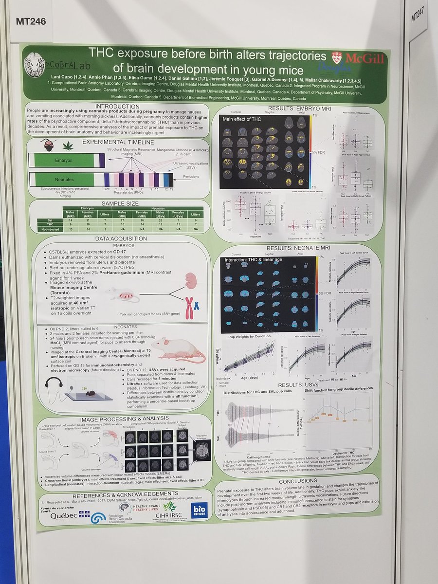 Come visit me at my poster at 1:15pm today at 2:15 tomorrow at #OHBM22!!!