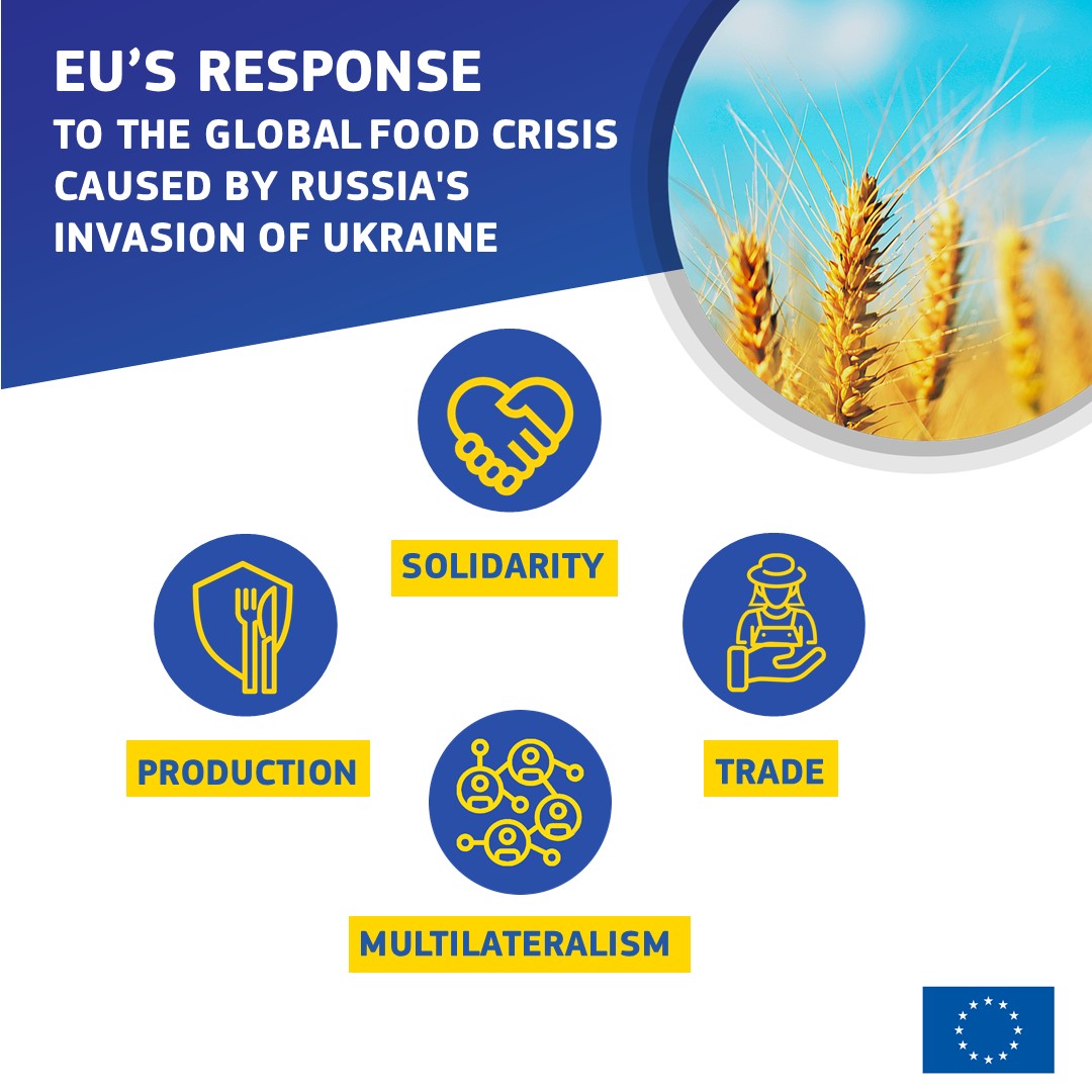 The EU prioritises a comprehensive global food security response:

🚛Facilitate food trade
🤝Provide emergency relief
👩‍🌾Support sustainable production systems
🌍Coordinate multilaterally

<a href="/EU_Partnerships/">EU International Partnerships 🇪🇺</a> is at the heart of this effort - for example:🧵