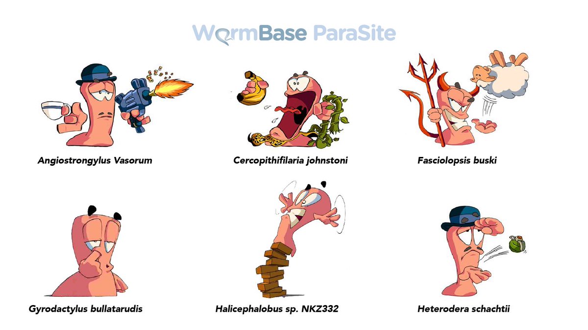 WBParaSite's tweet photo. Are you ready to meet the new species introduced in the upcoming WormBase #ParasSite’s brand new release 17? #parasitology https://t.co/bhyQb8AU3J