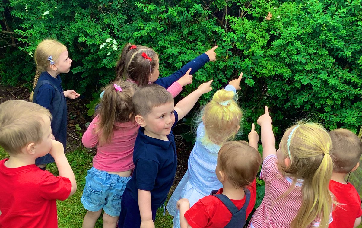 ESheret13's tweet photo. What an exciting morning we have had! 🦋 After all five of our butterflies emerged from their cocoons it was time to let them go. We let the butterflies fly away, some of them even stayed to say goodbye and sat on our fingers for a little while! 
We were sad to see them go 🦋 https://t.co/XgqER3G4s8