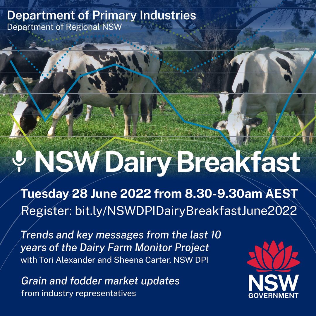 Join the @nswdpi #dairy team at the upcoming NSW Dairy Breakfast. Come and listen the key messages from 10 years of monitoring dairy farm performance in NSW as well as grain and fodder market updates. When? Tue 28 June at 8:30am. Register 👉bit.ly/NSWDPIDairyBre…
