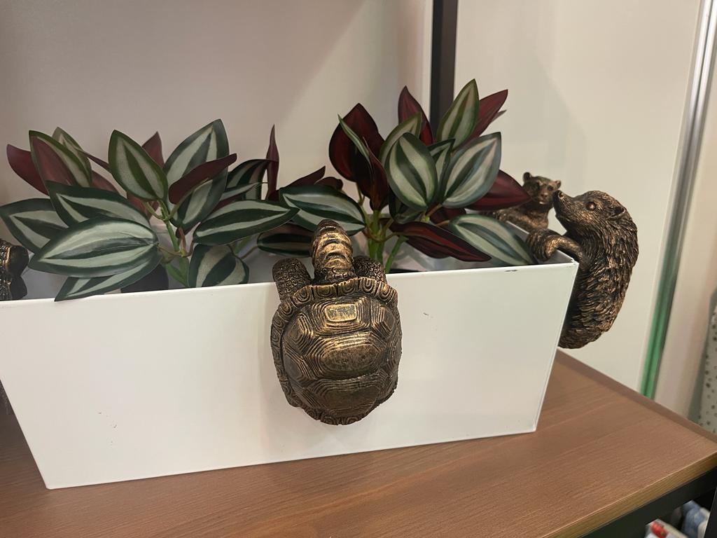 Visit <a href="/JardinopiaLtd/">Jardinopia Ltd</a> in hall 9 stand D048a <a href="/spoga/">spoga+gafa</a>. Multi award winning garden gifts with global licences for Disney and Peter Rabbit. Looking for distributors across Europe.