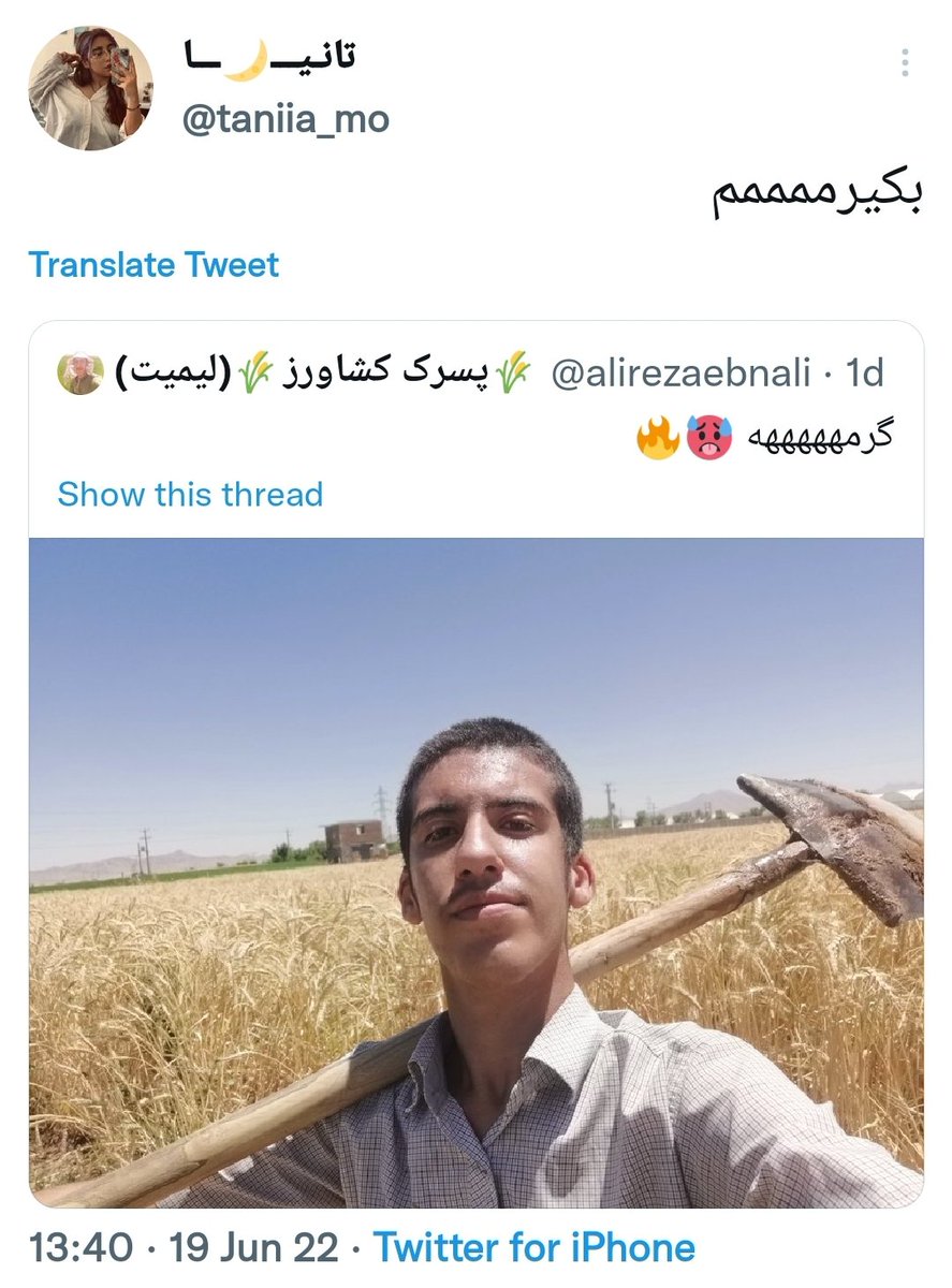 Hoorash's tweet photo. همین جنده توجه تا دیروز با چت مامانش و دوست پسرش فیو استار در میاورد الان از فیو استار شدن این بنده خدا میسوزه ...
بهشم حق میدم این عکس رو درک نکنه ، با پول ددی ایفون میگیری دستت و برای لذت های زندگیت لحظه ای تلاش نمیکنی اما در هر صورت حق این رو نداری به کسی توهین کنی دوزاری https://t.co/GAxZT9Pxgt