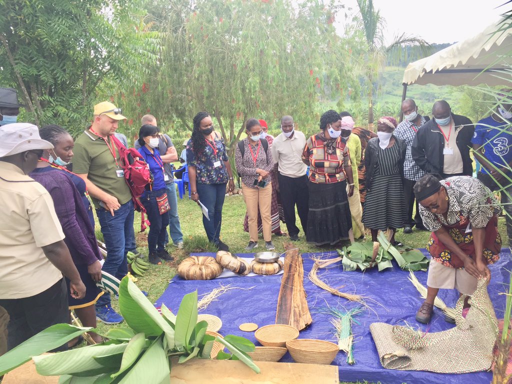 Responsible investment in agriculture is possible. Local investors <a href="/ESAFFUG/">ESAFF Uganda</a> &amp; <a href="/giz_gmbh/">GIZ</a> works with currently exhibiting the benefits of localizing the #CFSRAI and #VGGT guidelines in the communities during the excursion visit on farm in Mityana district.