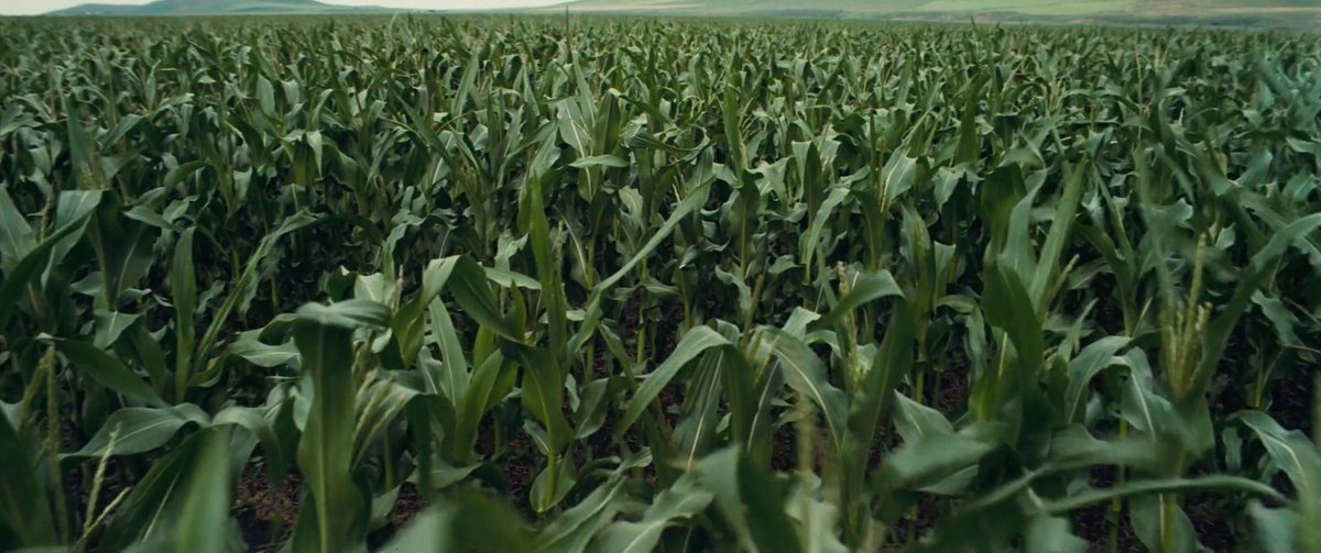 frames_is's tweet photo. Interstellar - Frame 2040 out of 243211 https://t.co/s8pRIdIqvC