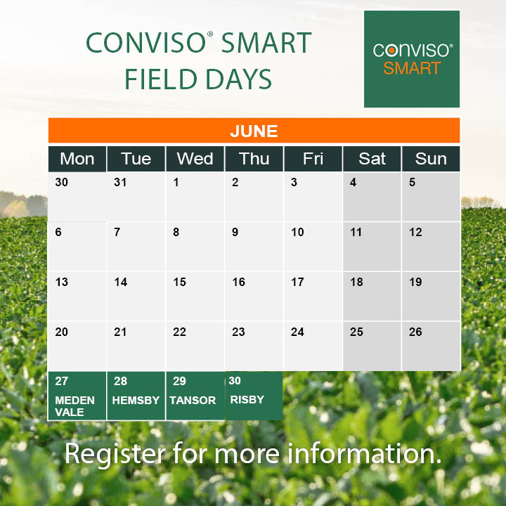 Looking for NEW options for weed control in sugar beet? CONVISO® SMART is your answer💯​ 

Find out more at our field days next week. 4pm - 7pm WITH dinner provided😋DM us to sign up!

27th June – Meden Vale
28th June – Hemsby
29th June – Tansor
30th June – Risby

<a href="/Bayer4CropsUK/">Bayer Crop Science UK</a>