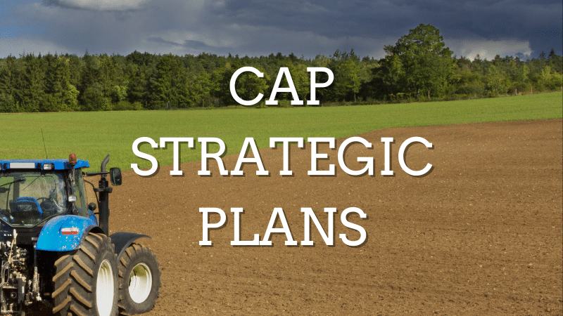 ARC2020eu's tweet photo. Observation letters, meetings, and negotiations between the Commission and Member States are shaping the future national #CAP Strategic Plans. Are these negotiations going to make any changes that matter? Here is our analysis: https://t.co/1c58cmcNAv https://t.co/WG6rygnwGR