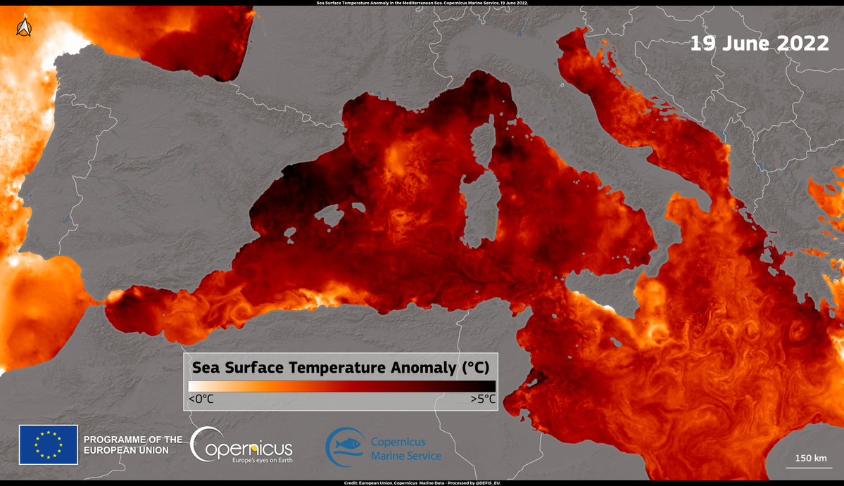 #ImageOfTheDay

Heatwaves ♨️ do not only impact life on land

The waters of the Mediterranean Sea have also been affected by the recent extreme temperatures

On 19 June, the Sea Surface Temperature along the coasts of 🇪🇸🇫🇷 &amp; 🇮🇹  was showing an anomaly of +5°C
 
⬇️<a href="/CMEMS_EU/">Copernicus Marine</a> Data