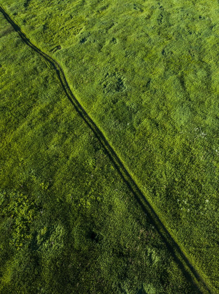 Кто мы, откуда и куда мы идём?