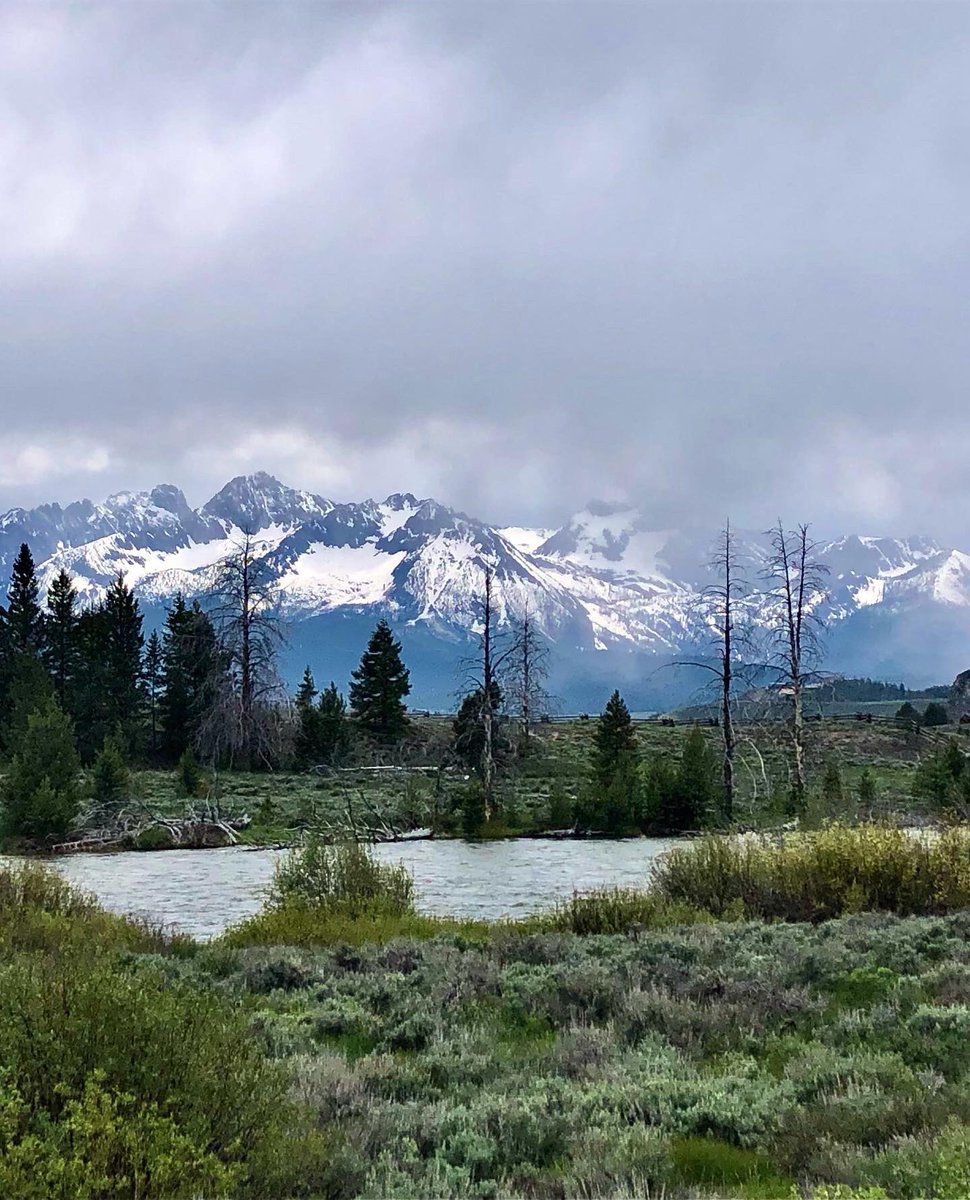 MagicValleyLure's tweet photo. @publiclandlvr Montana! You come to Montana by way of Idaho? Central Idaho north of I-84 is beautiful right now. https://t.co/5t18oyxghX